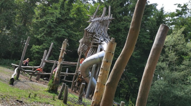 Dag 107 – groot schijn